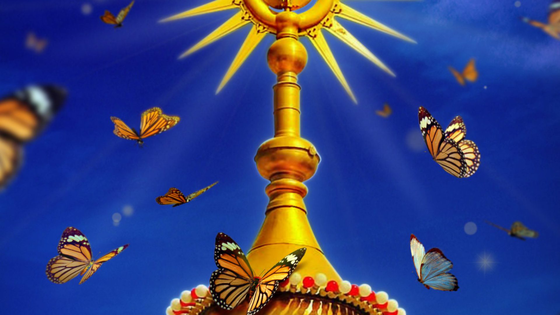 خورشید وحدت_1398526225110